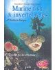Marine Fish & Invertebrates of Northern Europe - 9780954406028-thumb