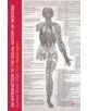 An Introduction to the Social History of Medicine - 9781403946935-thumb