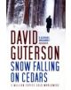 Snow Falling on Cedars - 9781408801406-thumb