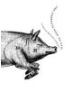 The Complete Nose to Tail - 9781408809167-thumb