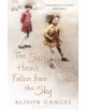 The Sun Hasn't Fallen From the Sky - 9781408822050-thumb
