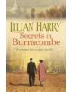 Secrets in Burracombe - 9781409120674-thumb