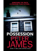 Possession - 9781409181279-thumb