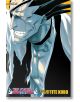Bleach (3-in-1 Edition), Vol. 5-1-thumb