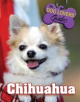 Chihuahua - 9781422238530-thumb