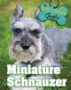 Miniature Schnauzer - 9781422239469-thumb