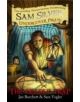 Sam Silver: Undercover Pirate: The Deadly Trap - 9781444005875-thumb