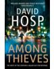 Among Thieves - 9781447270263-thumb