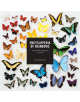 Encyclopedia of Rainbows - 9781452155333-thumb