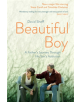 Beautiful Boy - 9781471177934-thumb