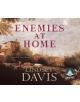 Enemies at Home - 9781471272646-thumb