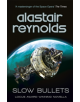 Slow Bullets - 9781473218437-thumb