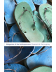 Allegories of the Anthropocene - 9781478004714-thumb