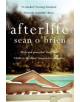 Afterlife - 9781509844067-thumb