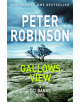 Gallows View - 9781509857036-thumb