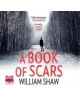 A Book of Scars - 9781510010895-thumb