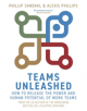Teams Unleashed - 9781529337044-thumb