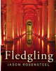 Fledgling - 9781543967296-thumb