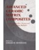 Advanced Ceramic Matrix Composites - 9781566763349-thumb