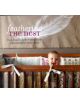 Feathering the Nest - 9781584797456-thumb