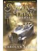 Nancy Drew Diaries #2 - 9781597077781-thumb
