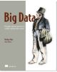 Big Data:Principles and best practices of scalable realtime data systems - 9781617290343-thumb