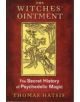 The Witches' Ointment - 9781620554739-thumb