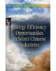 Energy Efficiency Opportunities in Select Chinese Industries - 9781628089844-thumb