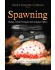 Spawning - 9781631176555-thumb