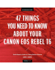 47 Things You Need to Know About Your Canon EOS Rebel T6 - 9781681984360-thumb