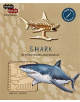IncrediBuilds Animal Collection: Shark - 9781682981399-thumb