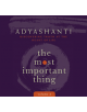 Most Important Thing, Volume 2 - 9781683641896-thumb