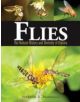 Flies: The Natural History and Diversity of Diptera - 9781770851009-thumb