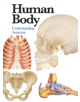 Human Body - 9781782743774-thumb