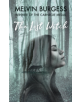 The Lost Witch - 9781783446902-thumb