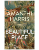 Beautiful Place - 9781784631932-thumb