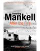 After the Fire - 9781784703400-thumb