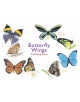 Butterfly Wings - 9781786272850-thumb