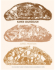Super Sourdough - 9781787134652-thumb
