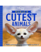 World's Cutest Animals - 9781788681247-thumb