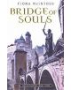 Bridge Of Souls - 9781841493756-thumb