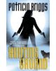 Hunting Ground - 9781841497952-thumb