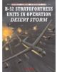 B-52 Stratofortress Units 1980-1999 - 9781841767512-thumb