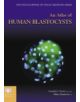 An Atlas of Human Blastocysts - 9781842141694-thumb