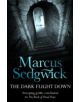 The Dark Flight Down - 9781842551363-thumb
