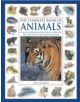 Complete Book of Animals - 9781843227342-thumb