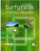 Turfgrass Physiology and Ecology - 9781845936488-thumb