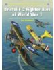 Bristol F2 Fighter Aces of World War I - 9781846032011-thumb