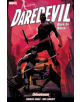 Daredevil Volume 1 - 9781846537196-thumb