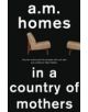 In A Country Of Mothers - 9781847087270-thumb